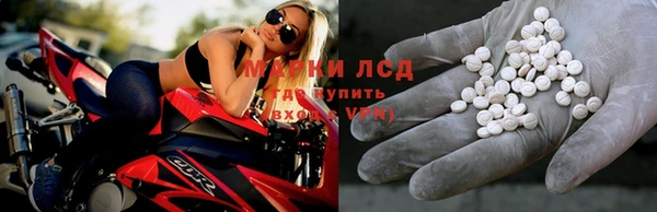 a pvp Дмитров