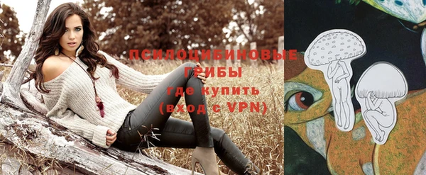 прущие крисы Дмитровск