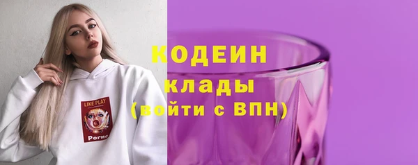крисы Костерёво