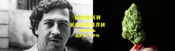 a pvp Дмитров