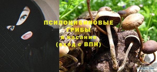 a pvp Дмитров