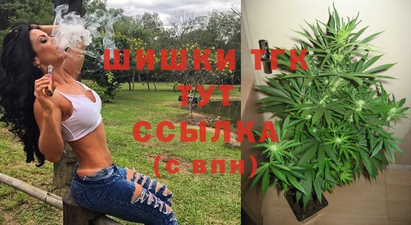 СК Дмитриев
